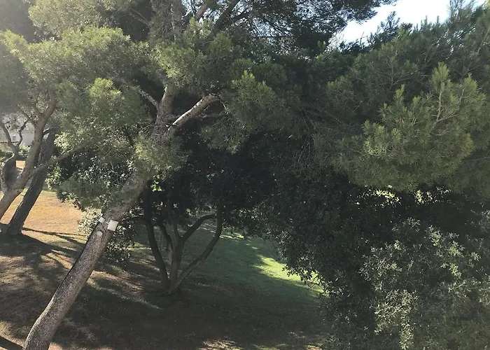 아파트호텔 Maeva Clubhotel Raphael 3*