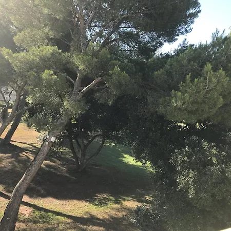 アパートホテル Maeva Clubhotel Raphael 3*